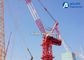 Highe Performance Luffing Jib Tower Crane D160 5030 50m Jib Boom Length 12t Load supplier